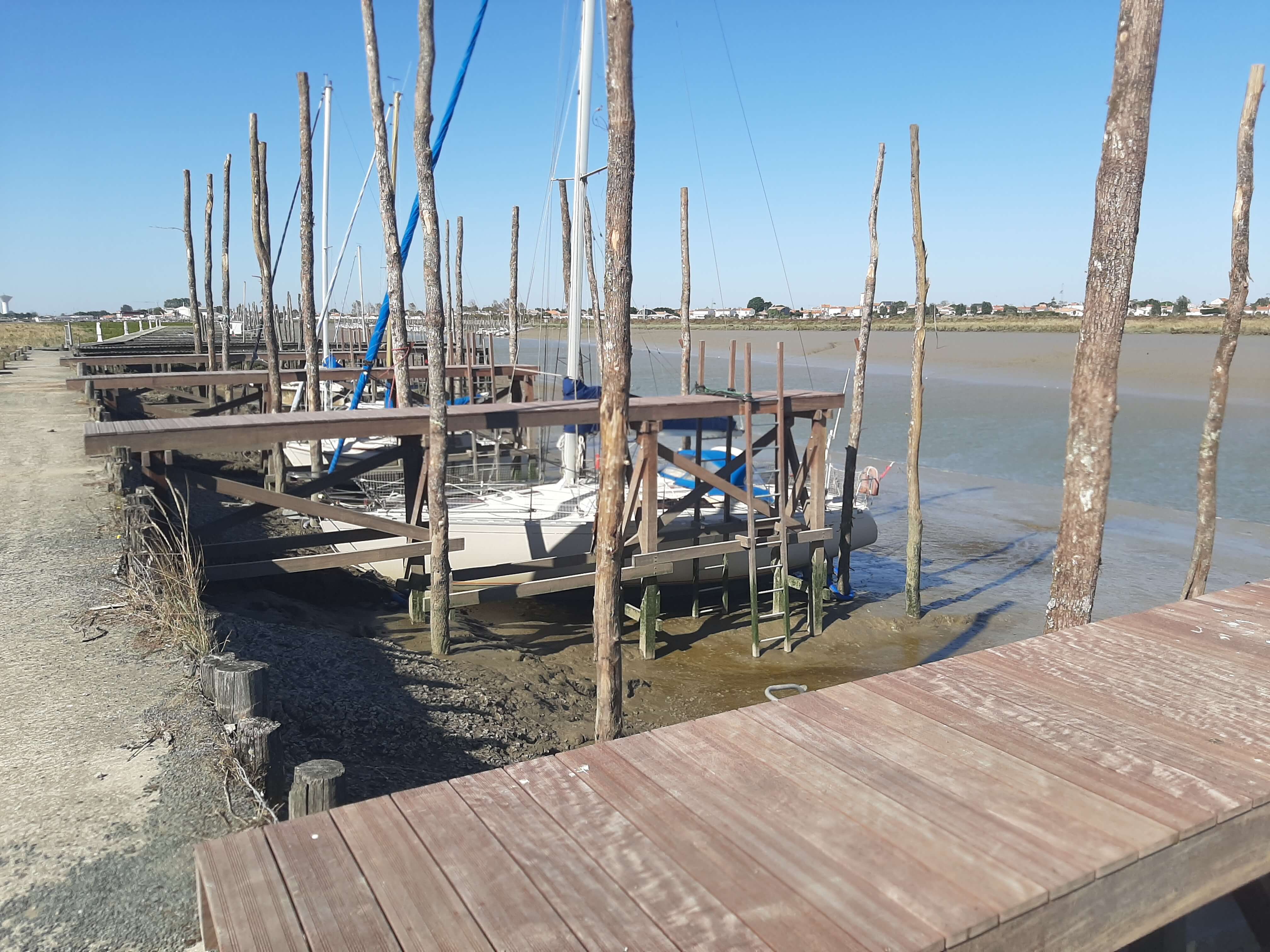 1081-3-20190919_160209